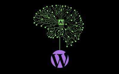 WP SEO AI in de praktijk